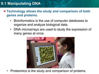 nucleus of a cell from the animal to be cloned is implanted in the eggCloning has potential benefits.