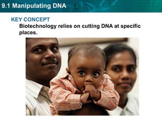 KEY CONCEPT Biotechnology relies on cutting DNA at specific places.  