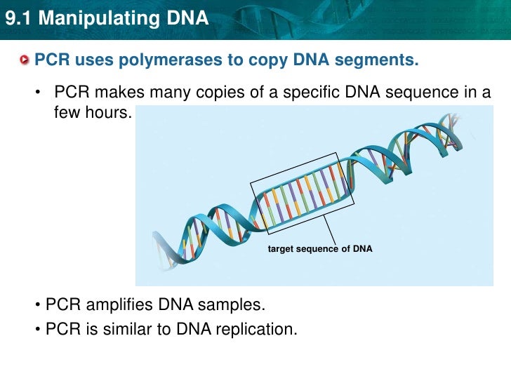 Unit 9 Manipulating Dna