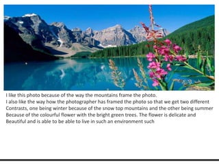 I like this photo because of the way the mountains frame the photo. 
I also like the way how the photographer has framed the photo so that we get two different 
Contrasts, one being winter because of the snow top mountains and the other being summer 
Because of the colourful flower with the bright green trees. The flower is delicate and 
Beautiful and is able to be able to live in such an environment such 
 