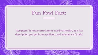 Fun Fowl Fact:
“Symptom” is not a correct term in animal health, as it is a
description you get from a patient…and animals can’t talk!
 