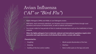 Avian Influenza
(“AI” or “Bird Flu”)
– Highly Pathogenic (HPAI) and Mildly or Low Pathogenic strains
– Wild birds, most commonly waterfowl, can introduce virus to domesticated flocks through nasal
secretions and manure of infected birds, as well as rodents and insects!
– Can remain viable for long periods of time in moderate temperatures and can live indefinitely in frozen
material.
– When the highly pathogenic form is detected, national and international regulations require strict
quarantine and rapid destruction of all infected flocks within a certain mile radius.
Characterized by:
– Coughing
– Sneezing
– Swelling of the face and/or wattles
– Bluish-purple discoloration of the face
– Diarrhea
– Red or white spots on the legs and comb
 