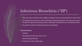 Infectious Bronchitis (“IB”)
– Virus that affects chickens that is highly contagious and can spread quickly through a flock
– Transmitted through the air and on feed bags, infected dead birds, and rodents as well as
through the egg to developing embryos (although if affected they do not typically hatch)
– No specific treatment besides administering antibiotics
Characterized by:
– Gasping
– Discharge from the eyes and/or nose
– Reduced egg production
– Production of thin-shelled eggs
 
