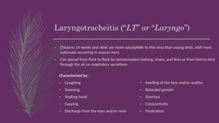 Laryngotracheitis (“LT” or “Laryngo”)
– Chickens 14 weeks and older are more susceptible to this virus than young birds, with most
outbreaks occurring in mature hens
– Can spread from flock to flock by contaminated clothing, shoes, and tires or from bird-to-bird
through the air on respiratory secretions
Characterized by:
– Coughing
– Sneezing
– Shaking head
– Gasping
– Discharge from the eyes and/or nose
– Swelling of the face and/or wattles
– Retarded growth
– Diarrhea
– Conjunctivitis
– Prostration
 