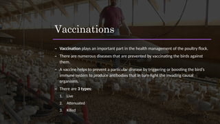 Vaccinations
– Vaccination plays an important part in the health management of the poultry flock.
– There are numerous diseases that are prevented by vaccinating the birds against
them.
– A vaccine helps to prevent a particular disease by triggering or boosting the bird’s
immune system to produce antibodies that in turn fight the invading causal
organisms.
– There are 3 types:
1. Live
2. Attenuated
3. Killed
 