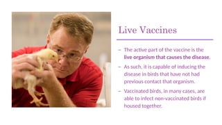 Live Vaccines
– The active part of the vaccine is the
live organism that causes the disease.
– As such, it is capable of inducing the
disease in birds that have not had
previous contact that organism.
– Vaccinated birds, in many cases, are
able to infect non-vaccinated birds if
housed together.
 