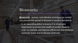 Biosecurity
Biosecurity - proven, cost effective techniques to control
and prevent the spread of diseases in poultry operations
– In an expanding global economy, it is of extreme
importance to protect the health of poultry flocks in
order to maintain and improve efficiencies and minimize
economic losses due to disease outbreaks.
 