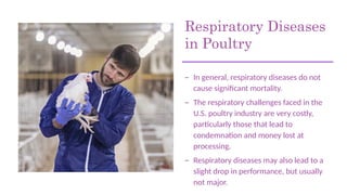 Respiratory Diseases
in Poultry
– In general, respiratory diseases do not
cause significant mortality.
– The respiratory challenges faced in the
U.S. poultry industry are very costly,
particularly those that lead to
condemnation and money lost at
processing.
– Respiratory diseases may also lead to a
slight drop in performance, but usually
not major.
 