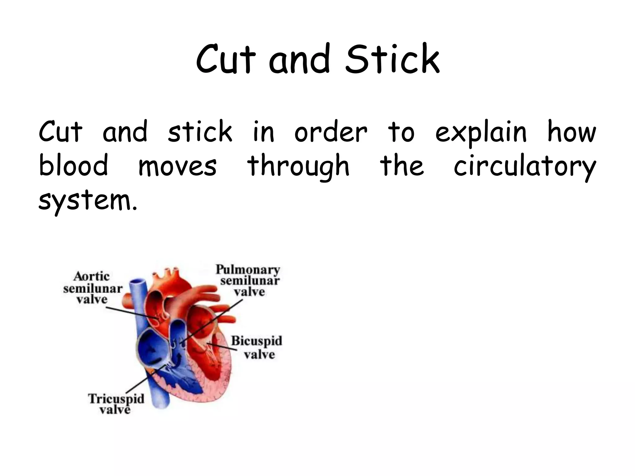 Cut and Stick
Cut and stick in order to explain how
blood moves through the circulatory
system.
 