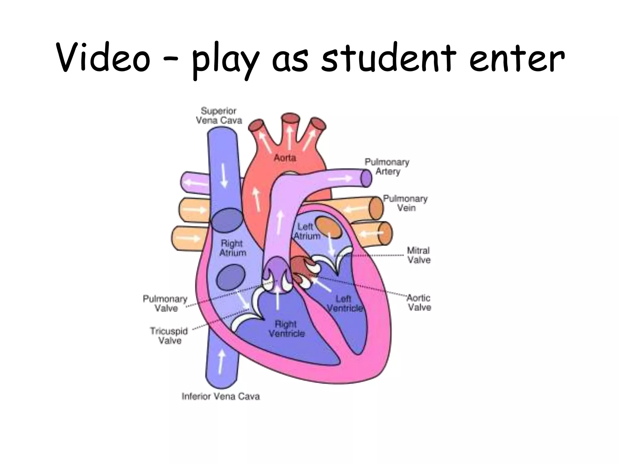 Video – play as student enter
 