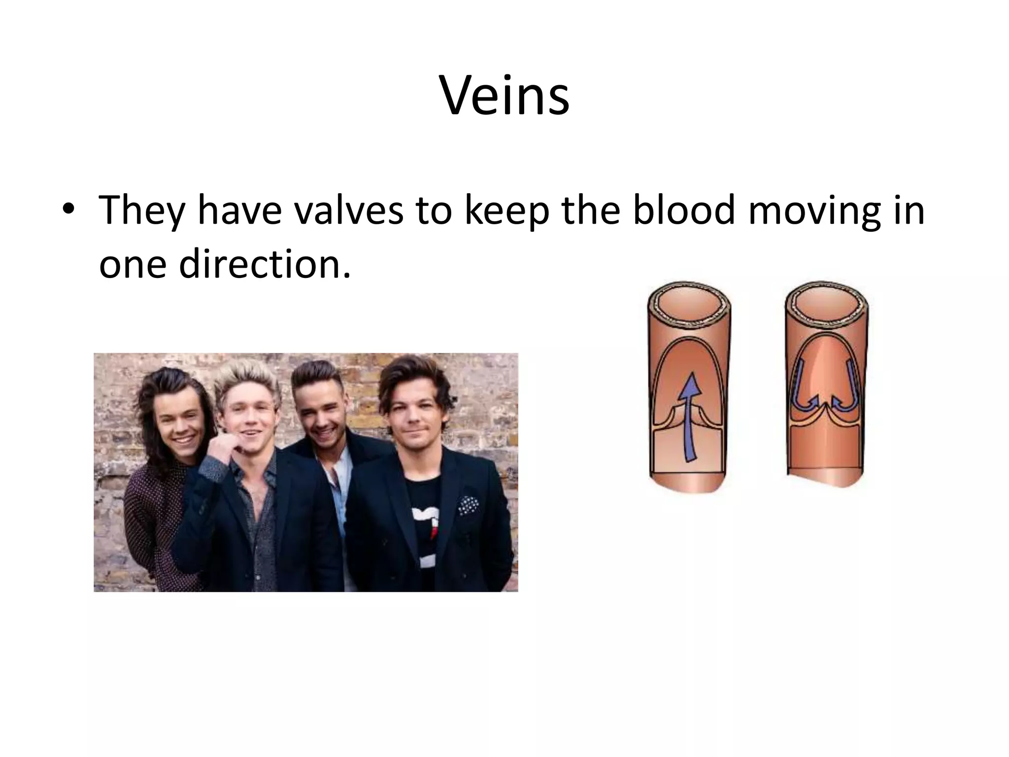 Veins
• They have valves to keep the blood moving in
one direction.
 