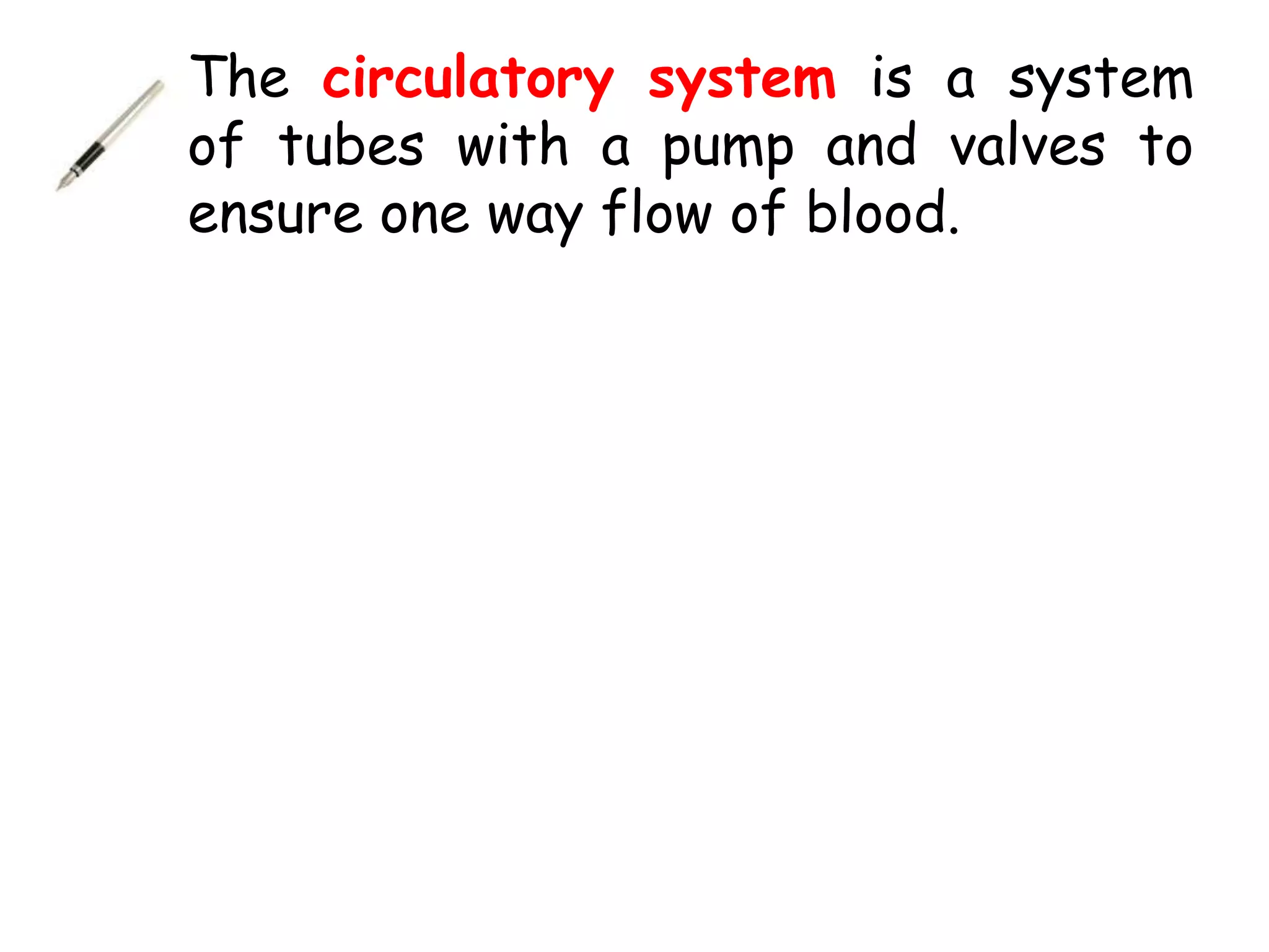 The circulatory system is a system
of tubes with a pump and valves to
ensure one way flow of blood.
 