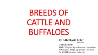 BREEDS OF
CATTLE AND
BUFFALOES
Dr. P. Ravikanth Reddy
MVSc, PhD
Guest Faculty
KBR College of Agriculture and Horticulture
Acharya NG Ranga Agricultural University
Dr. YSR Horticulture University
 