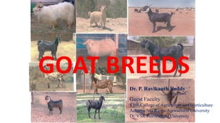 GOAT BREEDS
Dr. P. Ravikanth Reddy
MVSc, PhD
Guest Faculty
KBR College of Agriculture and Horticulture
Acharya NG Ranga Agricultural University
Dr. YSR Horticulture University
 