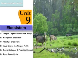 Ekosistem
Unit
9
A. Tingkat Organisasi Makhluk Hidup
B. Komponen Ekosistem
C. Tipe-tipe Ekosistem
D. Arus Energi dan Tingkat Trofik
E. Rantai Makanan & Piramida Ekologi
F. Daur Biogeokimia
 
