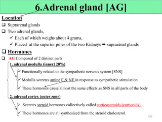 6.Adrenal gland [AG]
Location
 Suprarenal glands
 Two adrenal glands,
 Each of which weighs about 4 grams,
 Placed at the superior poles of the two Kidneys  suprarenal glands
 Hormones
 AG Composed of 2 distinct parts
1. adrenal medulla (inner] 20%)
 Functionally related to the sympathetic nervous system [SNS]
 Medulla secretes amine E & NE in response to sympathetic stimulation
 These hormones cause almost the same effects as SNS in all parts of the body
2. adrenal cortex (outer zone)
 Secretes steroid hormones collectively called corticosteroids (corticoids).
 These hormones are all synthesized from the steroid cholesterol.
103
 