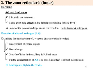 2. The zona reticularis (inner)
Hormone
Adrenal Androgens
 It is male sex hormone.
 It also exert mild effects in the female (responsible for sex drive )
 Some of the adrenal androgens can converted to testosterone & estrogens.
Function of adrenal androgen [AA]:
 Initiate the development of 2ry-sexual characteristics includes:
 Enlargement of genital organs
 Voice change
 Growth of hairs in the axillary & Pubital areas
 But the concentration of AA is so low & its effect is almost insignificant.
 Androgen is high in the Testis.
111
2. The zona reticularis (inner)
 