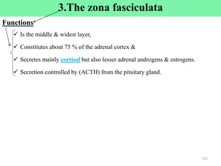3.The zona fasciculata
Functions
 Is the middle & widest layer,
 Constitutes about 75 % of the adrenal cortex &
 Secretes mainly cortisol but also lesser adrenal androgens & estrogens.
 Secretion controlled by (ACTH) from the pituitary gland.
112
 