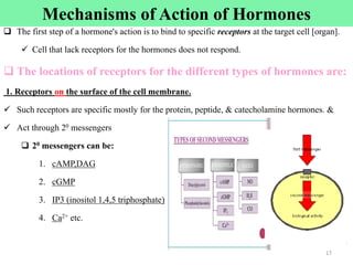 Mechanisms of Action of Hormones
 The first step of a hormone's action is to bind to specific receptors at the target cell [organ].
 Cell that lack receptors for the hormones does not respond.
 The locations of receptors for the different types of hormones are:
1. Receptors on the surface of the cell membrane.
 Such receptors are specific mostly for the protein, peptide, & catecholamine hormones. &
 Act through 20 messengers
 20 messengers can be:
1. cAMP,DAG
2. cGMP
3. IP3 (inositol 1,4,5 triphosphate)
4. Ca2+ etc.
17
 