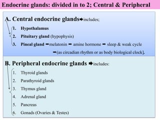 24
A. Central endocrine glandsincludes;
1. Hypothalamus
2. Pituitary gland (hypophysis)
3. Pineal gland melatonin  amine hormone  sleep & weak cycle
(as circadian rhythm or as body biological clock].
B. Peripheral endocrine glands includes:
1. Thyroid glands
2. Parathyroid glands
3. Thymus gland
4. Adrenal gland
5. Pancreas
6. Gonads (Ovaries & Testes)
Endocrine glands: divided in to 2; Central & Peripheral
 
