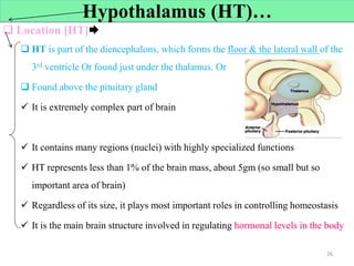  Location [HT]
 HT is part of the diencephalons, which forms the floor & the lateral wall of the
3rd ventricle Or found just under the thalamus. Or
 Found above the pituitary gland
 It is extremely complex part of brain
 It contains many regions (nuclei) with highly specialized functions
 HT represents less than 1% of the brain mass, about 5gm (so small but so
important area of brain)
 Regardless of its size, it plays most important roles in controlling homeostasis
 It is the main brain structure involved in regulating hormonal levels in the body
26
Hypothalamus (HT)…
 