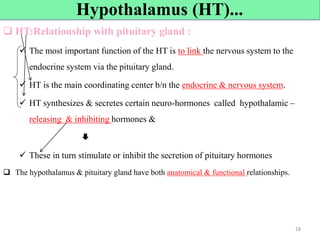  HT:Relationship with pituitary gland :
 The most important function of the HT is to link the nervous system to the
endocrine system via the pituitary gland.
 HT is the main coordinating center b/n the endocrine & nervous system.
 HT synthesizes & secretes certain neuro-hormones called hypothalamic –
releasing & inhibiting hormones &

 These in turn stimulate or inhibit the secretion of pituitary hormones
 The hypothalamus & pituitary gland have both anatomical & functional relationships.
28
Hypothalamus (HT)...
 