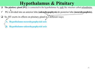  The pituitary gland [PG]: is connected to the hypothalamus by stalk like structure called infundibulm.
 PG is divided into an anterior lobe (adenohypophysis) & posterior lobe (neurohypophsis).
 So, HT exerts its effects on pituitary gland in 2 different ways:
A. Hypothalamo-neurohypophysial axis
B. Hypothalamo-adenohypophysial axis
Hypothalamus & Pituitary
29
29
 