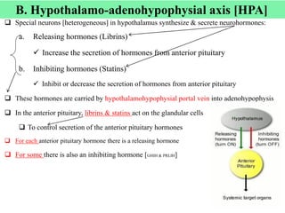 Cont’d
 Special neurons [heterogeneous] in hypothalamus synthesize & secrete neurohormones:
a. Releasing hormones (Librins)
 Increase the secretion of hormones from anterior pituitary
b. Inhibiting hormones (Statins)
 Inhibit or decrease the secretion of hormones from anterior pituitary
 These hormones are carried by hypothalamohypophysial portal vein into adenohypophysis
 In the anterior pituitary, librins & statins act on the glandular cells
 To control secretion of the anterior pituitary hormones
 For each anterior pituitary hormone there is a releasing hormone
 For some there is also an inhibiting hormone [GHIH & PRLIH]
36
B. Hypothalamo-adenohypophysial axis [HPA]
 