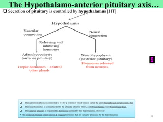  The adenohypophysis is connected to HT by a system of blood vessels called the adenohypophyseal portal system. But
 The neurohypophsis is connected to HT by a bundle of nerve fibers, called hypothalmo-neurohypophyseal tract.
 The anterior pituitary is regulated by hormones secreted by the hypothalamus. However
The posterior pituitary simply stores & releases hormones that are actually produced by the hypothalamus.
 Secretion of pituitary is controlled by hypothalamus [HT]
38
Cont’d
2
The Hypothalamo-anterior pituitary axis…
 
