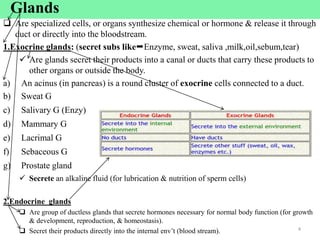 Glands
 Are specialized cells, or organs synthesize chemical or hormone & release it through
duct or directly into the bloodstream.
1.Exocrine glands: (secret subs likeEnzyme, sweat, saliva ,milk,oil,sebum,tear)
 Are glands secret their products into a canal or ducts that carry these products to
other organs or outside the body.
a) An acinus (in pancreas) is a round cluster of exocrine cells connected to a duct.
b) Sweat G
c) Salivary G (Enzy)
d) Mammary G
e) Lacrimal G
f) Sebaceous G
g) Prostate gland
 Secrete an alkaline fluid (for lubrication & nutrition of sperm cells)
2.Endocrine glands
 Are group of ductless glands that secrete hormones necessary for normal body function (for growth
& development, reproduction, & homeostasis).
 Secret their products directly into the internal env’t (blood stream). 4
 