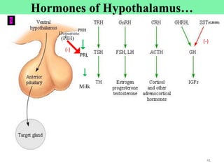 41
PRH
PRL
Milk


(PIH)

(-)
(-)
Dopamine
(GHIH)
41
Cont’d
5
Hormones of Hypothalamus…
 