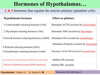 L & S hormones that regulate the anterior pituitary (glandular cells)
Hypothalamic hormone Effect on pituitary
1.Corticotrophin releasing hormone (CRH) Stimulates ACTH secretion by corticotropes
2.Thyrotropin releasing hormone (TRH) Stimulates TSH secretion by thyrotropes
3.Growth hormone releasing hormone (GHRH)
4.Prolactin releasing hormone (PRH)
Stimulates GH secretion by somatotropes
5.Gonadotropin releasing hormone (GnRH)
1.Growth hormone inhibitory hormone [GHIH=Somatostatin=SST]
Stimulates LH & FSH secretion by gonadotropes
2.Prolactin inhibiting hormone [PIH=dopamine] Inhibits PRL secretion
44
Stimulates Prolactin secretion by lactotropes
Inhibits GH secretion
Releasing=R & Inhibiting=I
Hypothalamic: Librins =L & Statins=S  44
Hormones of Hypothalamus…
 