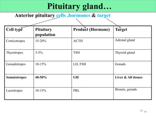 Anterior pituitary cells ,hormones & target
Cell type Pituitary
population
Product (Hormone) Target
Corticotropes 15-20% ACTH Adrenal gland
Thyrotropes 3-5% TSH Thyroid gland
Gonadotropes 10-15% LH, FSH Gonads
Somatotropes 40-50% GH Liver & All tissues
Lactotropes 10-15% PRL Breasts, gonads
48 48
Cont’d Pituitary gland…
 
