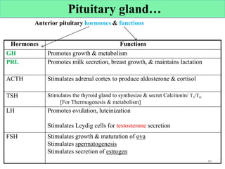 Anterior pituitary hormones & functions
Hormones Functions
GH Promotes growth & metabolism
PRL Promotes milk secretion, breast growth, & maintains lactation
ACTH Stimulates adrenal cortex to produce aldosterone & cortisol
TSH Stimulates the thyroid gland to synthesize & secret Calcitonin/ T3/T4/
[For Thermogenesis & metabolism]
LH Promotes ovulation, luteinization
Stimulates Leydig cells for testosterone secretion
FSH Stimulates growth & maturation of ova
Stimulates spermatogenesis
Stimulates secretion of estrogen
49
Cont’d
Pituitary gland…
 