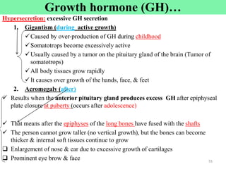 Cont’d
Hypersecretion: excessive GH secretion
1. Gigantism (during active growth)
Caused by over-production of GH during childhood
Somatotrops become excessively active
Usually caused by a tumor on the pituitary gland of the brain (Tumor of
somatotrops)
All body tissues grow rapidly
It causes over growth of the hands, face, & feet
2. Acromegaly (after)
 Results when the anterior pituitary gland produces excess GH after epiphyseal
plate closure at puberty (occurs after adolescence)
 That means after the epiphyses of the long bones have fused with the shafts
 The person cannot grow taller (no vertical growth), but the bones can become
thicker & internal soft tissues continue to grow
 Enlargement of nose & ear due to excessive growth of cartilages
 Prominent eye brow & face 55
55
Growth hormone (GH)…
 