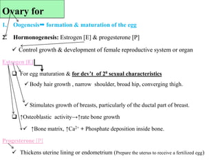 1. Oogenesis formation & maturation of the egg
2. Hormonogenesis: Estrogen [E] & progesterone [P]
 Control growth & development of female reproductive system or organ
Estrogen [E]
 For egg maturation & for dev’t of 20 sexual characteristics
 Body hair growth , narrow shoulder, broad hip, converging thigh.
 Stimulates growth of breasts, particularly of the ductal part of breast.
 ↑Osteoblastic activity→↑rate bone growth
 ↑Bone matrix, ↑Ca2+ + Phosphate deposition inside bone.
Progesterone [P]
 Thickens uterine lining or endometrium (Prepare the uterus to receive a fertilized egg)
Ovary for
 