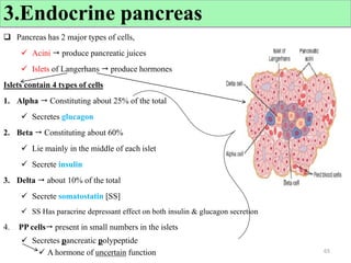  Pancreas has 2 major types of cells,
 Acini  produce pancreatic juices
 Islets of Langerhans  produce hormones
Islets contain 4 types of cells
1. Alpha  Constituting about 25% of the total
 Secretes glucagon
2. Beta  Constituting about 60%
 Lie mainly in the middle of each islet
 Secrete insulin
3. Delta  about 10% of the total
 Secrete somatostatin [SS]
 SS Has paracrine depressant effect on both insulin & glucagon secretion
4. PP cells present in small numbers in the islets
 Secretes pancreatic polypeptide
 A hormone of uncertain function 65
3.Endocrine pancreas
 