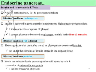 Insulin and Its metabolic Effects
 Affects carbohydrate , fat & protein metabolism
Effects of insulin on carbohydrate
 Insulin is secreted in great quantity in response to high glucose concentration.
 It increases cellular uptake of glucose
 It causes glucose to be stored as glycogen mainly in the liver & muscles
 Excess glucose that cannot be stored as glycogen are converted into fat,
 Fat under the stimulus of insulin stored in the adipose tissue.
 Insulin has a direct effect in promoting amino acid uptake by cells &
conversion of amino acids into protein
 It inhibits breakdown of proteins 66
Effects of insulin on carbohydrate
Effects of insulin on Fat [adipose]
Effects of insulin on proteins
Endocrine pancreas…
Insulin and Its metabolic Effects
 
