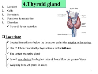 1. Location
2. Cells
3. Hormones
4. Functions & metabolism
5. Disorders
 Hypo & hyper secretion
Location:
 Located immediately below the larynx on each sides anterior to the trachea
 Has 2 lobes connected by thyroid tissue called isthmus
 The largest endocrine gland
 Is well vascularized has highest rates of blood flow per gram of tissue
 Weighing 15 to 20 grams in adults
Hyoid bone
77
4.Thyroid gland
 