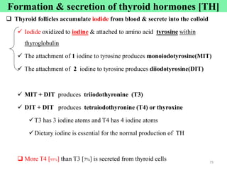 Formation & secretion of thyroid hormones [TH]
 Thyroid follicles accumulate iodide from blood & secrete into the colloid
 Iodide oxidized to iodine & attached to amino acid tyrosine within
thyroglobulin
 The attachment of 1 iodine to tyrosine produces monoiodotyrosine(MIT)
 The attachment of 2 iodine to tyrosine produces diiodotyrosine(DIT)
 MIT + DIT produces triiodothyronine (T3)
 DIT + DIT produces tetraiodothyronine (T4) or thyroxine
T3 has 3 iodine atoms and T4 has 4 iodine atoms
Dietary iodine is essential for the normal production of TH
 More T4 [93%] than T3 [7%] is secreted from thyroid cells 79
 