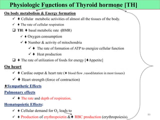 On body metabolism & Energy formation
  Cellular metabolic activities of almost all the tissues of the body.
  The rate of cellular respiration
 TH:  basal metabolic rate (BMR)
  Oxygen consumption
  Number & activity of mitochondria
  The rate of formation of ATP to energize cellular function
  Heat production
  The rate of utilization of foods for energy [Appetite]
On heart
  Cardiac output & heart rate ( blood flow ,vasodilatation in most tissues)
  Heart strength (force of contraction)
Sympathetic Effects
Pulmonary effects
  The rate and depth of respiration.
Hematopoietic Effects:
  Cellular demand for O2 leads to
  Production of erythropoietin & RBC production (erythropoiesis).
Physiologic Functions of Thyroid hormone [TH]
80
 