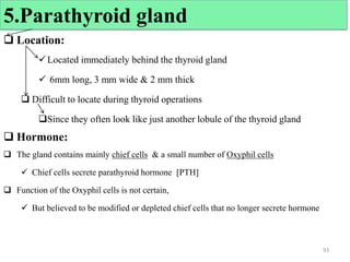  Location:
Located immediately behind the thyroid gland
 6mm long, 3 mm wide & 2 mm thick
 Difficult to locate during thyroid operations
Since they often look like just another lobule of the thyroid gland
 Hormone:
 The gland contains mainly chief cells & a small number of Oxyphil cells
 Chief cells secrete parathyroid hormone [PTH]
 Function of the Oxyphil cells is not certain,
 But believed to be modified or depleted chief cells that no longer secrete hormone
93
5.Parathyroid gland
 