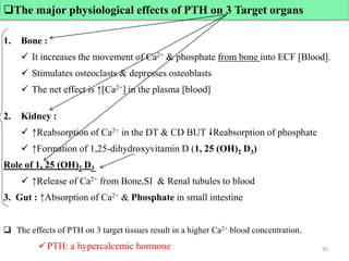 1. Bone :
 It increases the movement of Ca2+ & phosphate from bone into ECF [Blood].
 Stimulates osteoclasts & depresses osteoblasts
 The net effect is ↑[Ca2+] in the plasma [blood]
2. Kidney :
 ↑Reabsorption of Ca2+ in the DT & CD BUT Reabsorption of phosphate
 ↑Formation of 1,25-dihydroxyvitamin D (1, 25 (OH)2 D3)
Role of 1, 25 (OH)2 D3
 ↑Release of Ca2+ from Bone,SI & Renal tubules to blood
3. Gut : ↑Absorption of Ca2+ & Phosphate in small intestine
 The effects of PTH on 3 target tissues result in a higher Ca2+ blood concentration.
PTH: a hypercalcemic hormone 95
The major physiological effects of PTH on 3 Target organs
 