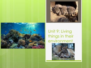 Unit 9: Living
things in their
environment
 