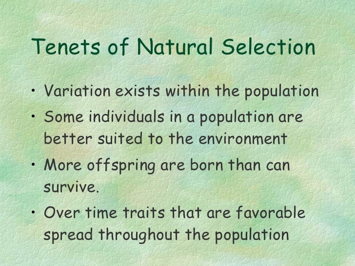 Are Mutations Are The Driving Force Of Natural Selection Are Mutations Are The Driving Force Of Natural Selection