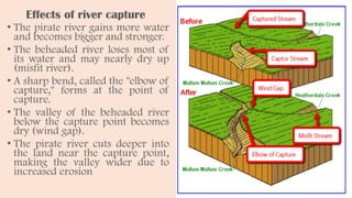 Effects of river capture
• The pirate river gains more water
and becomes bigger and stronger.
• The beheaded river loses most of
its water and may nearly dry up
(misfit river).
• A sharp bend, called the "elbow of
capture," forms at the point of
capture.
• The valley of the beheaded river
below the capture point becomes
dry (wind gap).
• The pirate river cuts deeper into
the land near the capture point,
making the valley wider due to
increased erosion
 