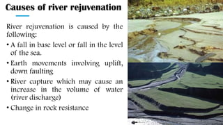 Causes of river rejuvenation
River rejuvenation is caused by the
following:
• A fall in base level or fall in the level
of the sea.
• Earth movements involving uplift,
down faulting
• River capture which may cause an
increase in the volume of water
(river discharge)
• Change in rock resistance
 