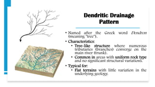 Dendritic Drainage
Pattern
• Named after the Greek word Dendron
(meaning "tree").
• Characteristics:
• Tree-like structure where numerous
tributaries (branches) converge on the
main river (trunk).
• Common in areas with uniform rock type
and no significant structural variations.
• Typical for:
• Flat terrains with little variation in the
underlying geology.
 