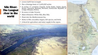 Nile River:
The Longest
river in the
world
• Covers 6,853 km in length.
• Has a drainage basin of 3,400,000 sq km.
• It crosses 11 countries: Uganda, South Sudan, Sudan, Egypt,
Kenya, Tanzania, Rwanda, Burundi, Democratic Republic of
Congo, Ethiopia, Eritrea.
• Its source is Lake Victoria.
• Main tributaries: White Nile, Blue Nile.
• Flows into the Mediterranean Sea.
• Home to Nile crocodiles, hippos, fish species, and birds.
• Critical for agriculture and water supply in the region.
 