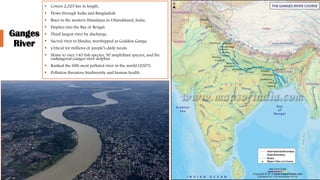 Ganges
River
• Covers 2,525 km in length.
• Flows through India and Bangladesh.
• Rises in the western Himalayas in Uttarakhand, India.
• Empties into the Bay of Bengal.
• Third largest river by discharge.
• Sacred river to Hindus, worshipped as Goddess Ganga.
• Critical for millions of people’s daily needs.
• Home to over 140 fish species, 90 amphibian species, and the
endangered Ganges river dolphin.
• Ranked the fifth most polluted river in the world (2007).
• Pollution threatens biodiversity and human health.
 
